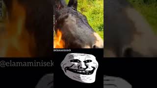 Troll Face Become Sad