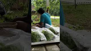 Download Lagu 11 Maret 2024 MP3