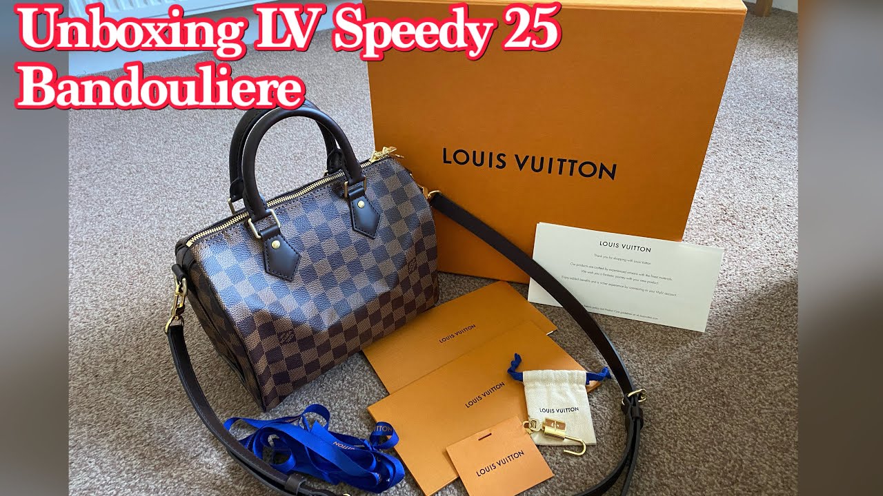 Louis Vuitton Damier Ebene Canvas Speedy Bandoulière 25 Article