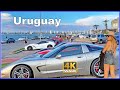 【4K】WALK Downtown Punta del Este URUGUAY travel vlog 4k video