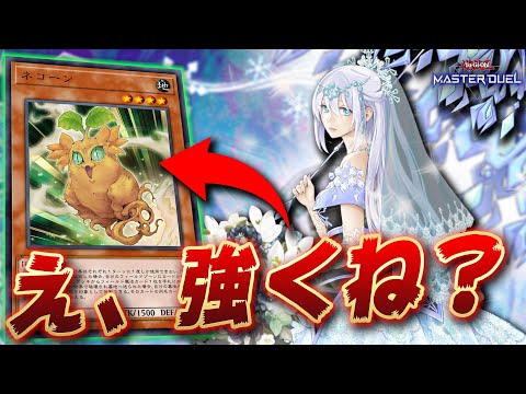 【お前誰やねん】『ネコーン』とかいう謎の植物が強すぎる件について【遊戯王マスターデュエル】【Yu-Gi-Oh! Master Duel】