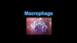 Supercytes cartoon - Macrophage