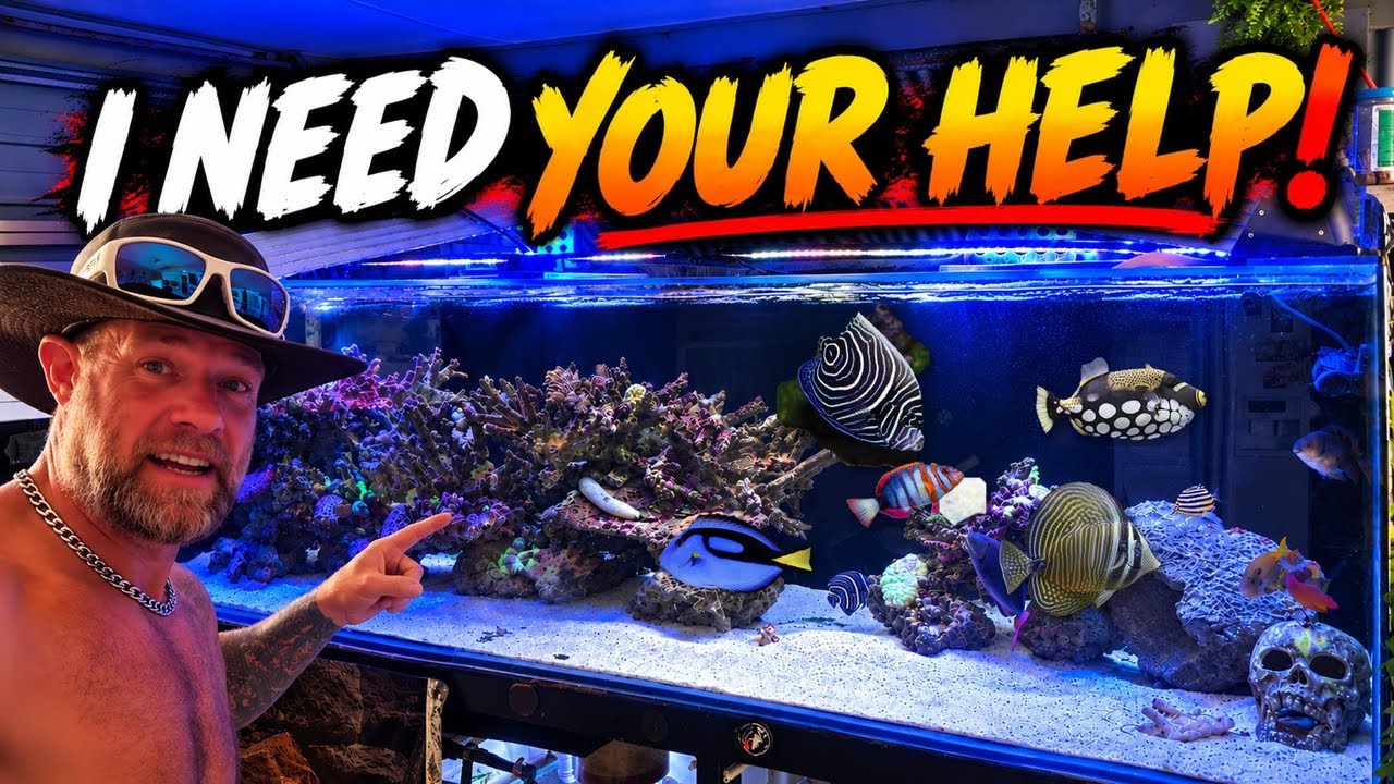 I NEED your HELP - YouTube