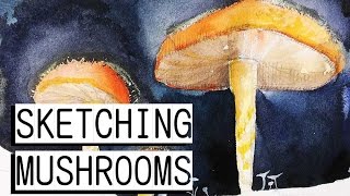 ✨ Watercolor Sketching : Mushrooms!