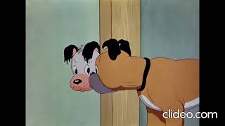 The Curious Puppy Reversed