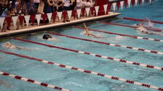 AB States 2016 MVI 0772 100 Back Casi