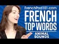 Learn the Top 10 Animal Sounds in French