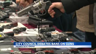 Conceal carry laws force city leaders to weigh public safety and gun rights