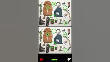 Find The Difference Puzzel Game Level 14