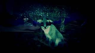 Feral Heart - Super Psycho Love |part 12|
for SukiChan
I hope you like it uwu Feral Heart - Super Psycho Love |part 12|