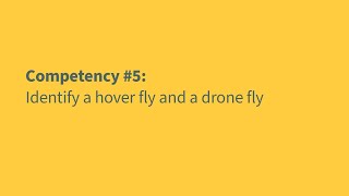 Australian Pollinator Count - Competency #5