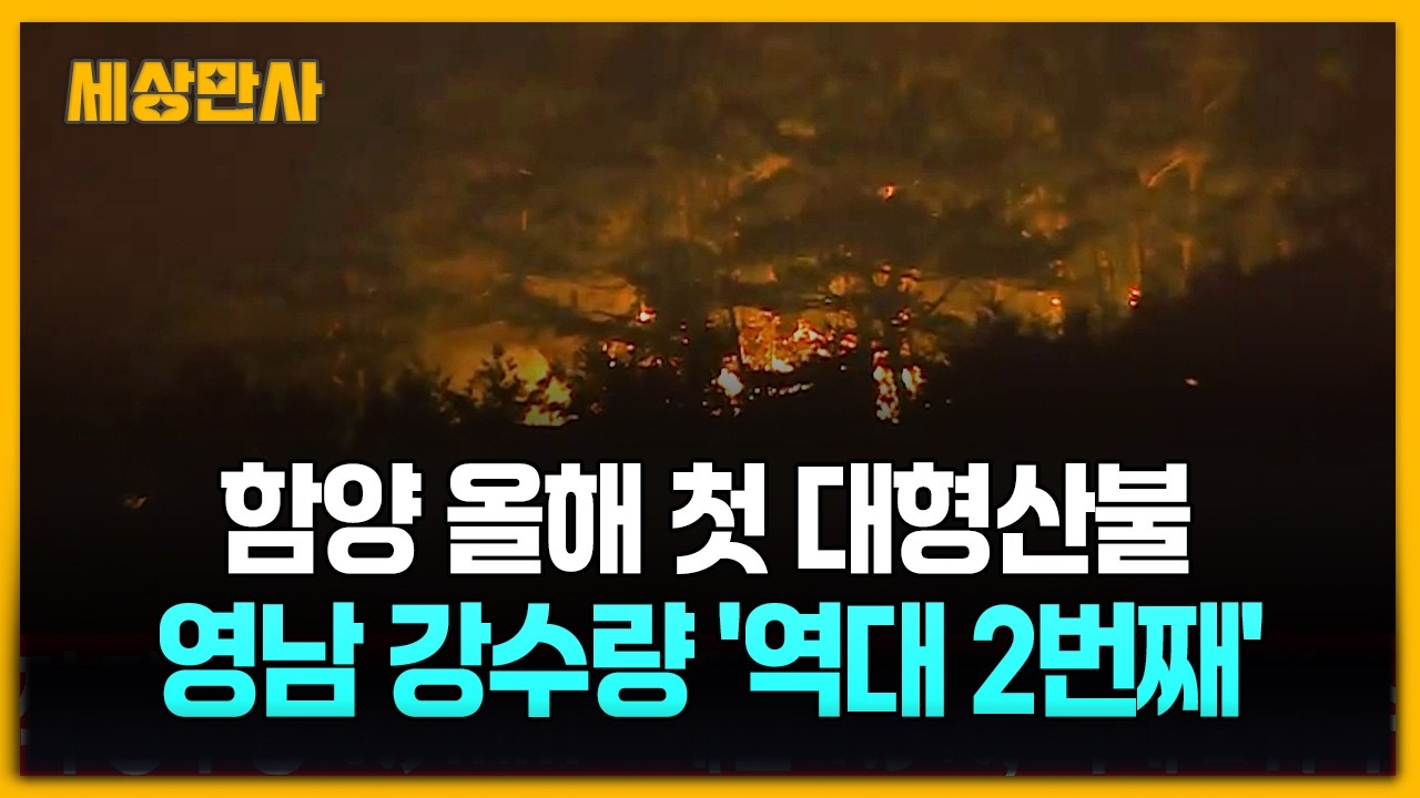 함양 산불 226ha 소실, 올해 첫 '대형 산불' 격상... 역대급 가뭄에 지리산 '비명' [세상만사] #함양산불 #역대급가뭄