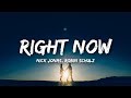 Nick Jonas, Robin Schulz - Right Now (Lyrics)