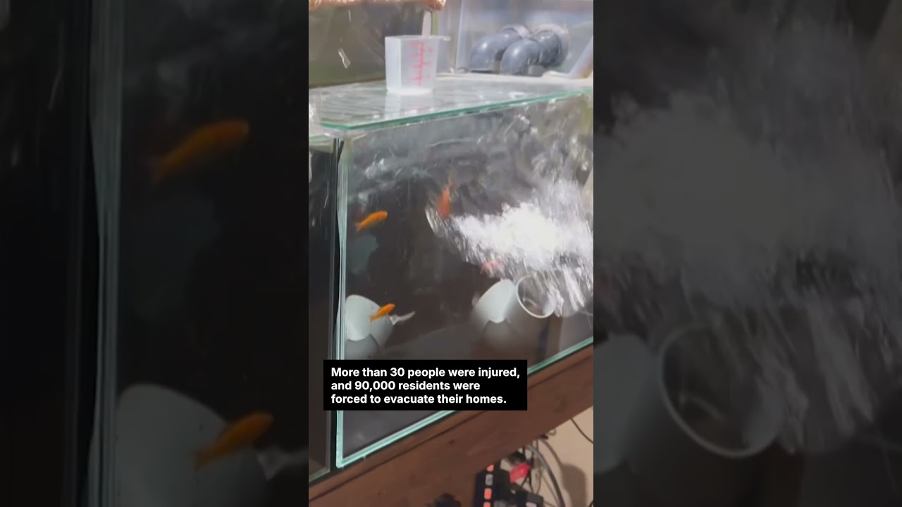 Earthquake causes damage in northeast Japan