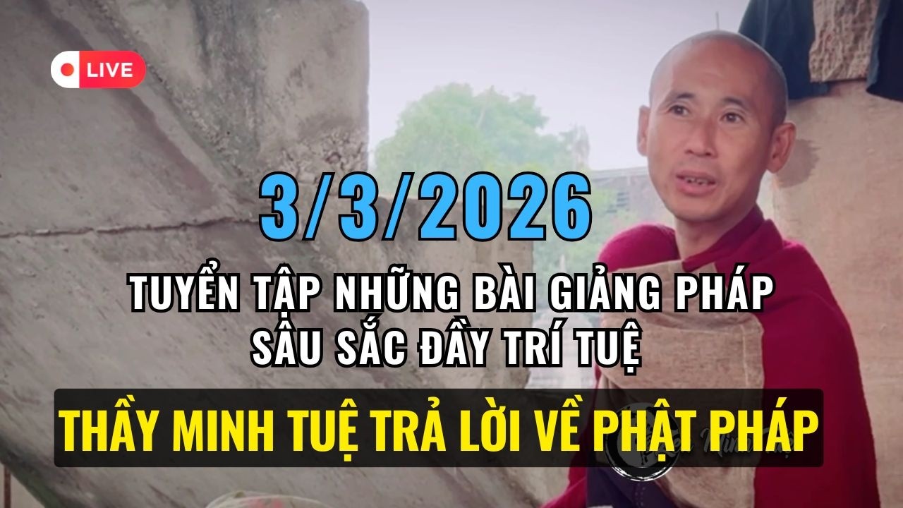 🔥 Trực tiếp Thầy Minh Tuệ Trả Lời Câu Hỏi Về Phật Pháp | Pháp Thoại Hay 2026