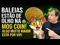 🚨URGÊNTE: MOG COIN Última Chance de Comprar Barato? Por Que Todos Estão Falando da Mog Coin!