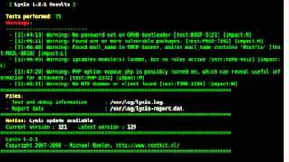 Auditing Debian like Linux with Lynis