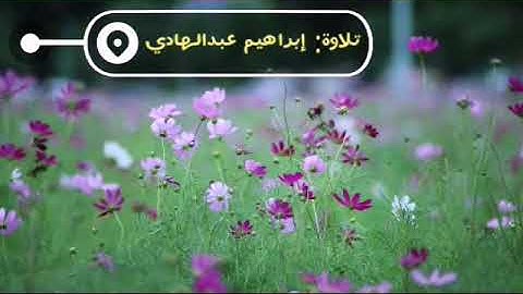 تلاوة صلاة | الشيخ إبراهيم عبدالهادي
