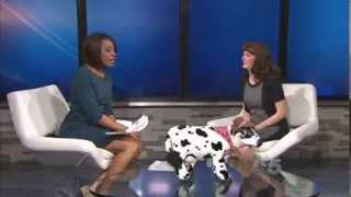 5 Talk Street - NBC 5 #595 B - The Cowtown