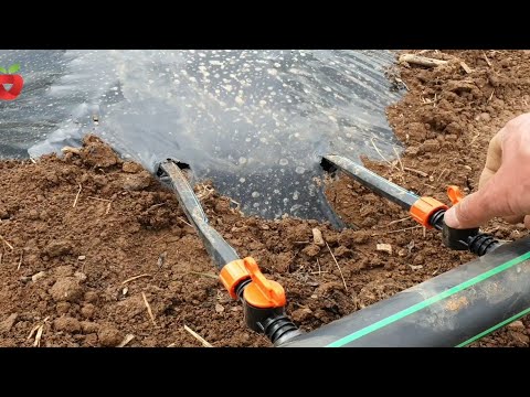 Make it easier to grow vegetables and prevent weeds from growing with PVC foil