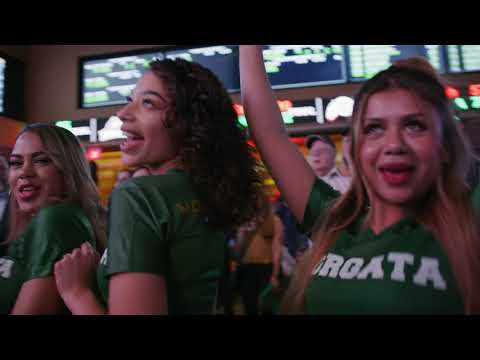 The Big Game at Borgata's Moneyline Bar & Book