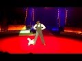 Amazing Foxterrier performs lot´s of tricks (LouLou&Rodrigue) の動画、YouTube動画。
