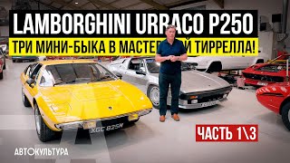 видео: Lamborghini Urraco P250. Три мини-быка в мастерской Тиррелла! Часть 1\3 | Tyrrell's Classic Workshop картинка: Lamborghini Urraco P250. Три мини-быка в мастерской Тиррелла! Часть 1\3 | Tyrrell's Classic Workshop