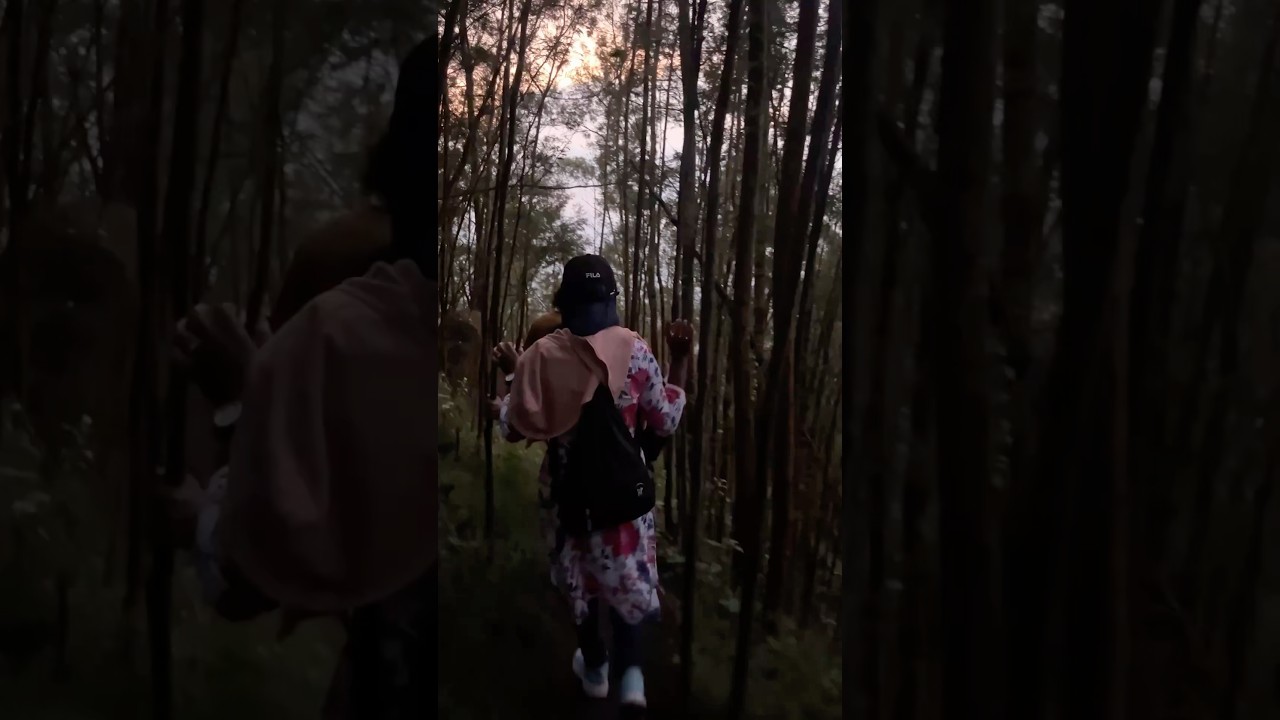 Who Slipped First? Hiking Fails and Fun! 😂🔥⛰️ 