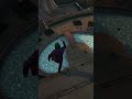Video diario hasta que salga GTA 6 #488
