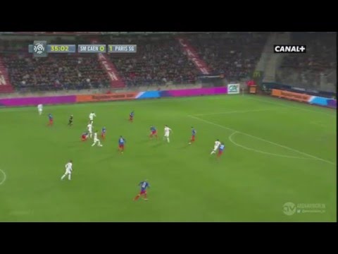 Caen - PSG 0-2 Zlatan Ibrahimovic AMAZING GOAL