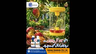 Fruit Fly Control by Vantage Chemicals | Protect Orchards &amp; Harvest