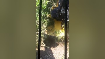 Brian Crabtree  in  cutter