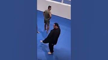 Sensei Steven Seagal Crouching Tiger Hidden Taco 