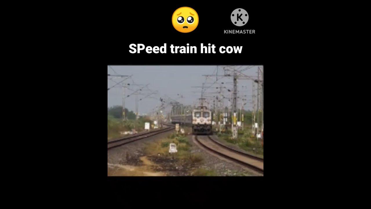 emotional video cow hit by train pls subscribei tamil Christian may 15. ...