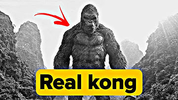 Gigantopithecus Blacki: The Real King Kong of Prehistoric Asia!