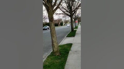 first drive in the 2jzgte vvti sc300 manual (1)