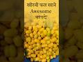 खीरनी फल खाने के जबरदस्त बहुत फायदे Amazing benefits of eating Khirani #healthtips #khirani #shorts