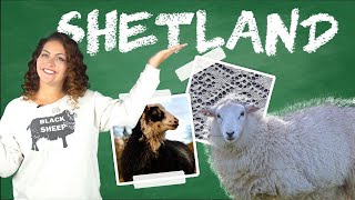 What's so Special about Shetland Wool?  Yarn University #11