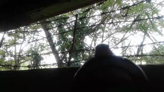 Marble gun part 2 screenshot 2