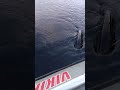 #рыбалка #карелия