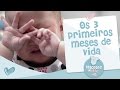 OS 3 PRIMEIROS MESES DE VIDA - CONVERSA DE MÃE