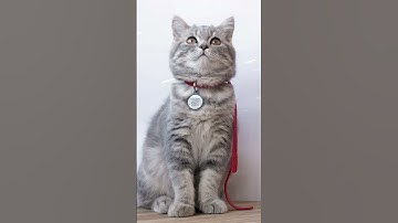 Cara Kerja QR Code Mengakses Informasi