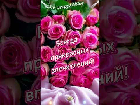 Лучшие пожелания Хорошему Человеку🌞🌺 Позитивная открыточка ☕💛💫