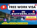Ch 5 year free work visa in switzerland move to switzerland in 24 days apply now  200000 jobs