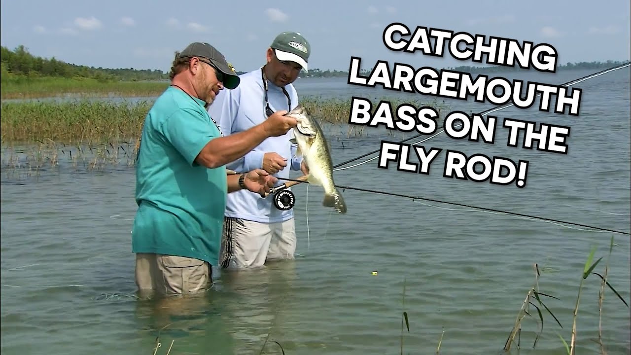 How To Catch Largemouth Bass On A Fly Rod! 