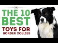 The Best Toys for Border Collies