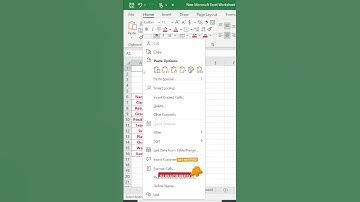 How to Convert Columns into Rows in Excel Using Transpose | Excel Tips & Tricks