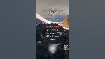 وجاءت سكرة الموت بالحق| تلاوة هادئة| 😴🎧 دعها تريح ❤️