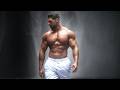 THE LIFESTYLE Gym Motivation 2026 