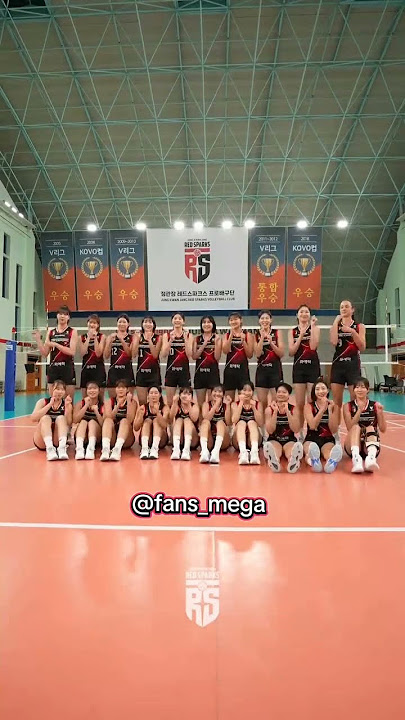 RS viral Pacu Jalur 😄😄😄 #dj #mega #megatron #redsparks #volleyball